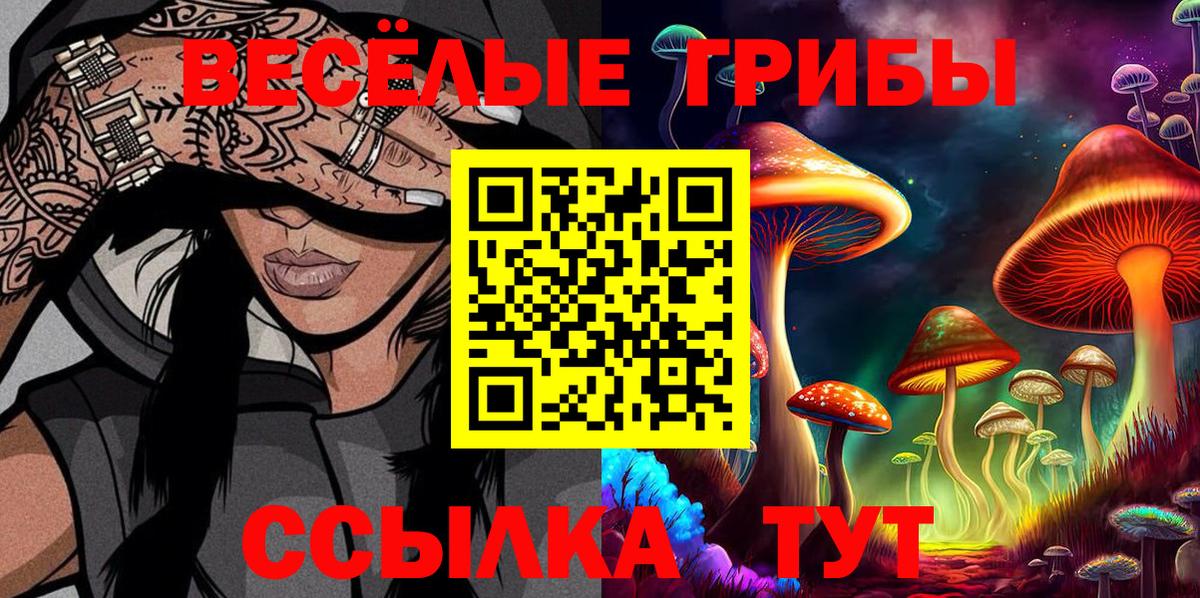 Тында  Галлюциногенные грибы прущие грибы  Вход с VPN 