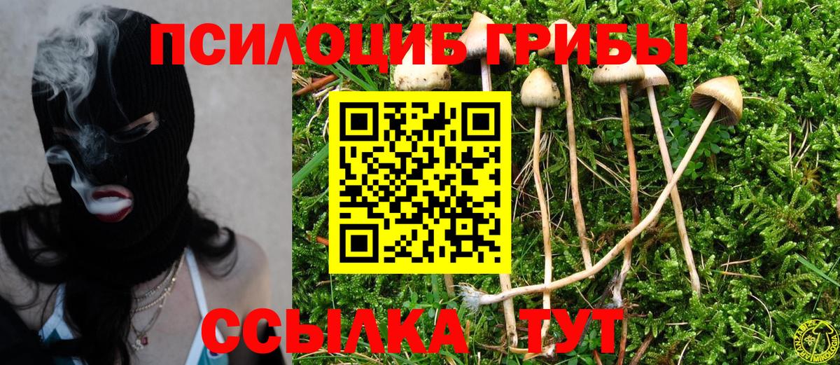 Галлюциногенные грибы GOLDEN TEACHER Тында